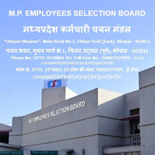 mp-tet-result-2023